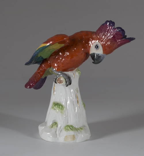 “Cotorra” de porcelana esmaltada.Meissen, S. XIX.