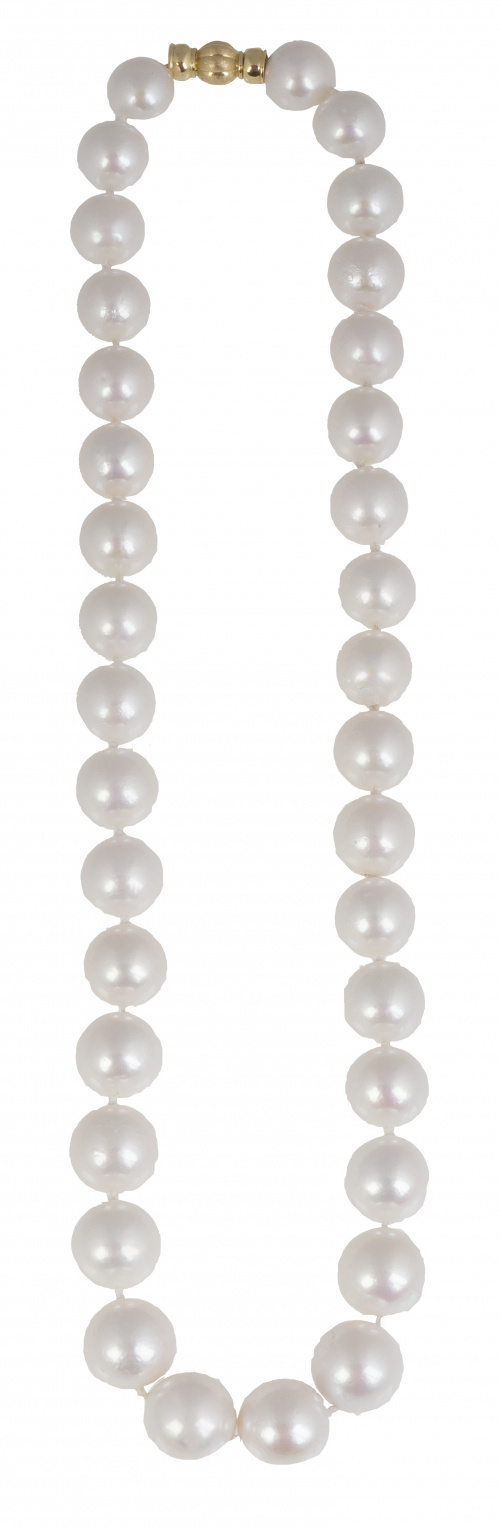 Collar de perlas de los mares del Sur de tamaño creciente h