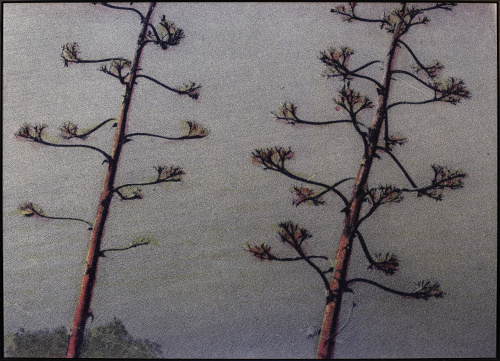 ELGER ESSER (Stuttgart, 1967), ELGER ESSER (Stuttgart, 1967