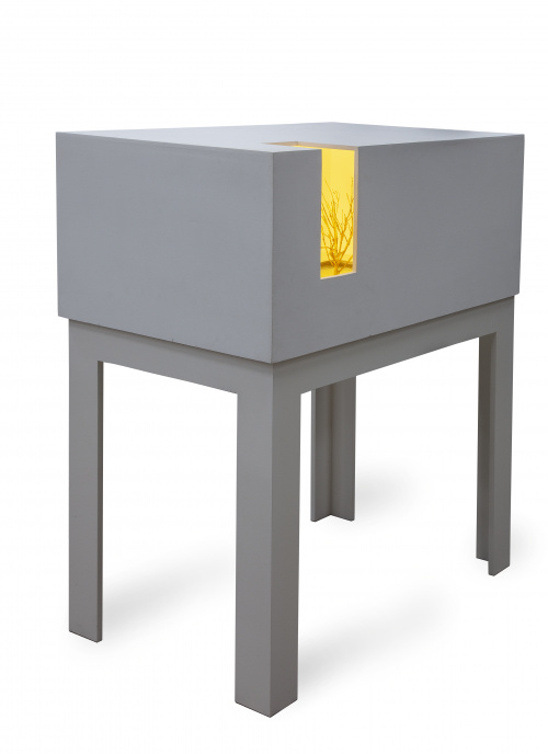 IGNACIO LLAMAS (Toledo, 1970), IGNACIO LLAMAS (Toledo, 1970