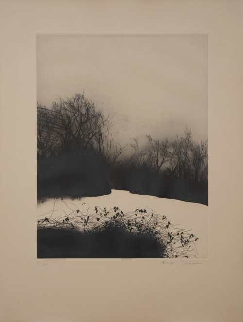 MARTA CÁRDENAS (San Sebastián, 1944), MARTA CÁRDENAS (San S