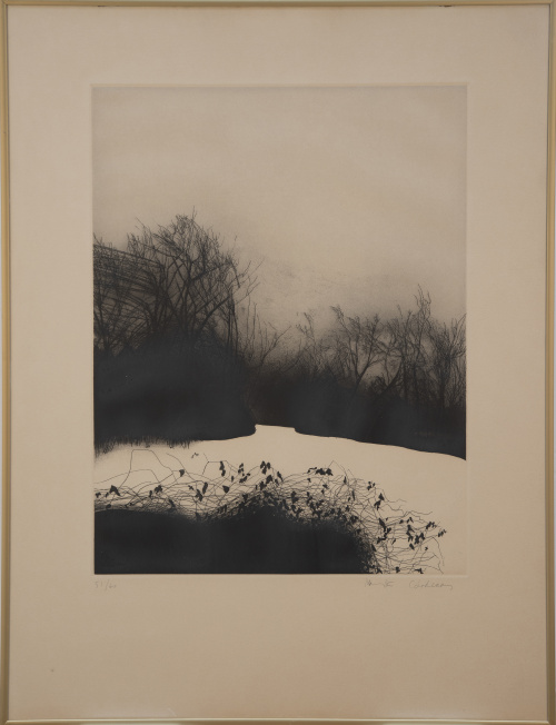 MARTA CÁRDENAS (San Sebastián, 1944), MARTA CÁRDENAS (San S