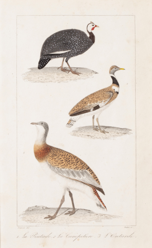 GEORGE- LOUIS LECLERCK (177-1788) y EDOUARD TRAVIES DE VILL