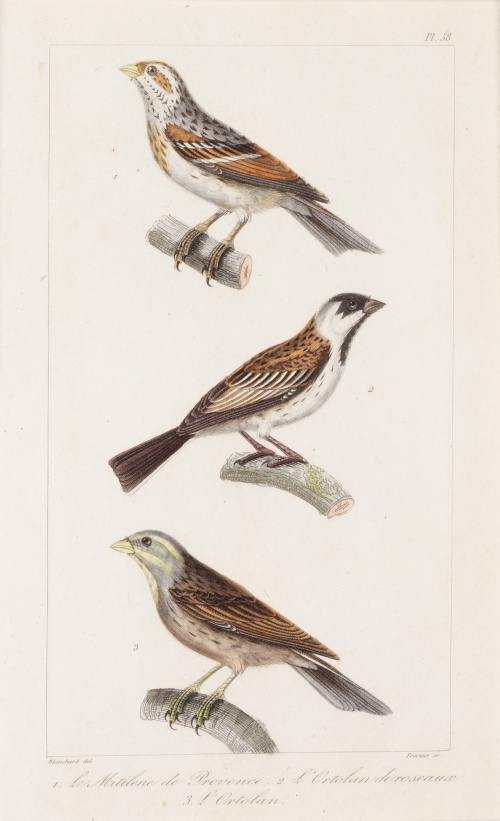 GEORGE- LOUIS LECLERCK (177-1788) y EDOUARD TRAVIES DE VILL