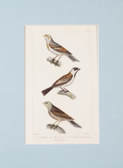 GEORGE- LOUIS LECLERCK (177-1788) y EDOUARD TRAVIES DE VILL