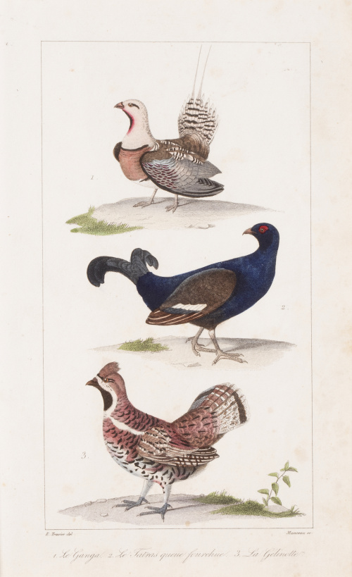 GEORGE- LOUIS LECLERCK (177-1788) y EDOUARD TRAVIES DE VILL