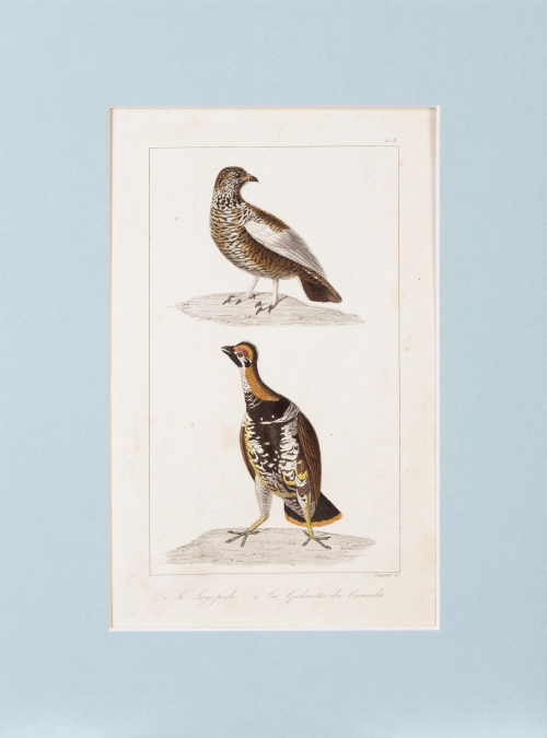 GEORGE- LOUIS LECLERCK (177-1788) y EDOUARD TRAVIES DE VILL