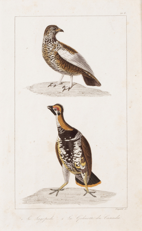 GEORGE- LOUIS LECLERCK (177-1788) y EDOUARD TRAVIES DE VILL