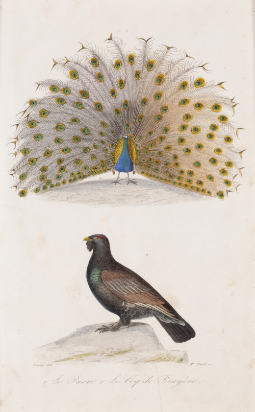 GEORGE- LOUIS LECLERCK (177-1788) y EDOUARD TRAVIES DE VILL