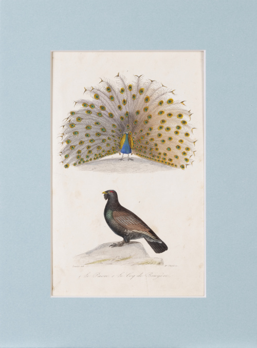 GEORGE- LOUIS LECLERCK (177-1788) y EDOUARD TRAVIES DE VILL