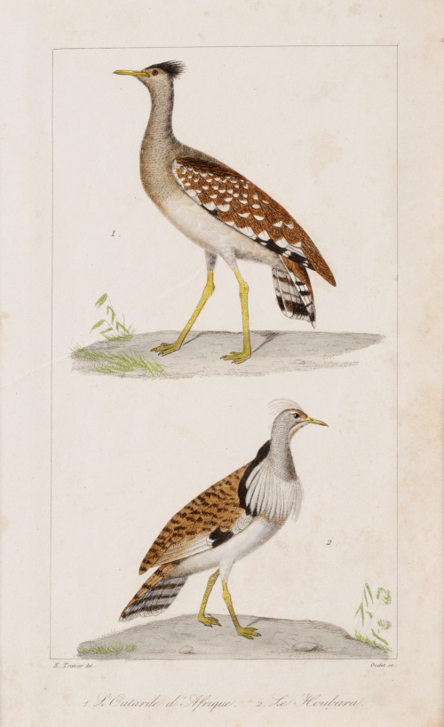 GEORGE- LOUIS LECLERCK (177-1788) y EDOUARD TRAVIES DE VILL