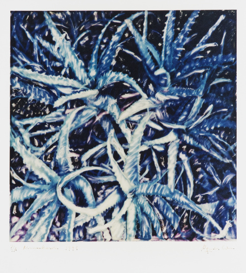 ALEJANDRO CABRERA (Madrid, 1954), ALEJANDRO CABRERA (Madrid