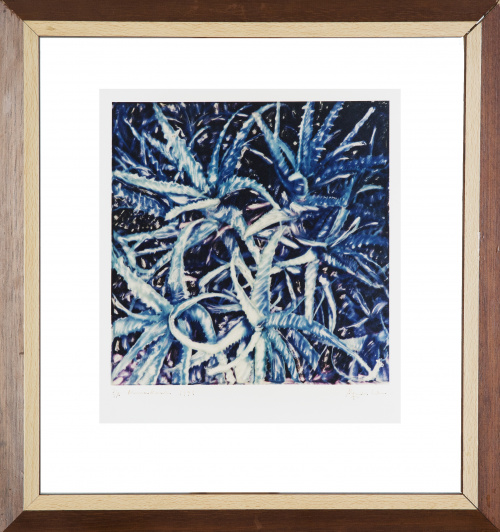 ALEJANDRO CABRERA (Madrid, 1954), ALEJANDRO CABRERA (Madrid