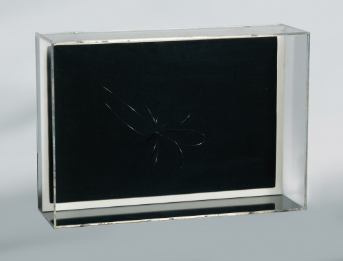 BLANCA MUÑOZ (Madrid, 1963)“Andrómeda”, 2002