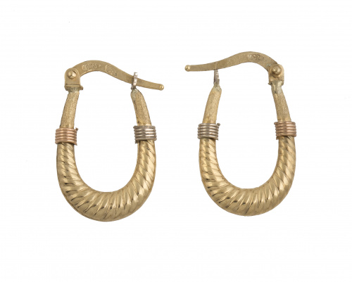 Pendientes criollas de forma oval a modo de soga en oro bri