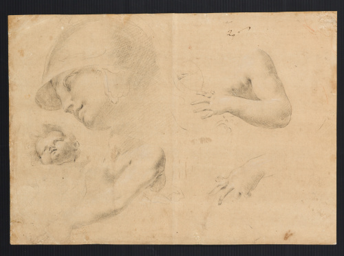 ESCUELA ITALIANA, SEGUNDA MITAD DEL SIGLO XVIICabeza de la