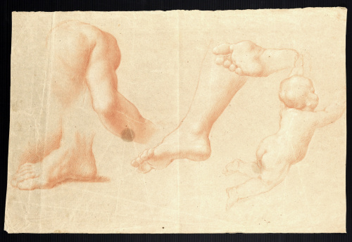 FRANCISCO BAYEU Y SUBIAS (1734 - 1795)Homóplato y brazo de