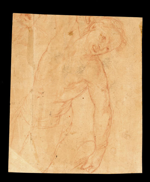 ESCUELA ESPAÑOLA, PRIMER CUARTO SIGLO XVIII.Cabeza de homb