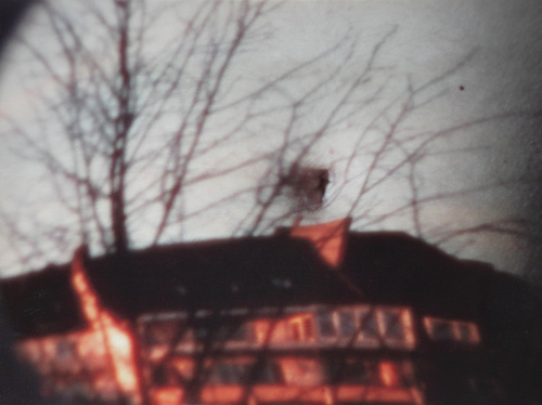 LAURA FERNÁNDEZ GIBELLINI (Madrid, 1978), LAURA FERNÁNDEZ G