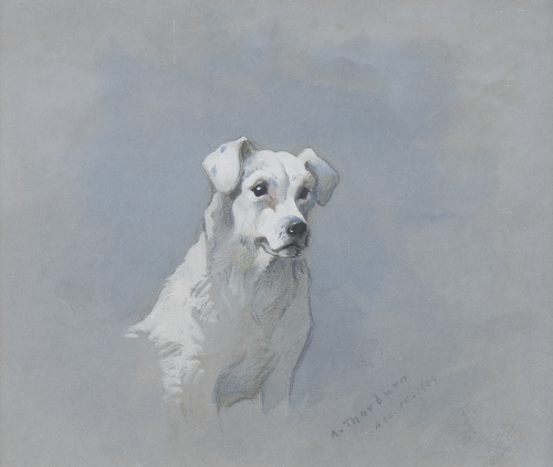 ARCHIBALD THORBURN (1860-1935)Estudio de Terrier