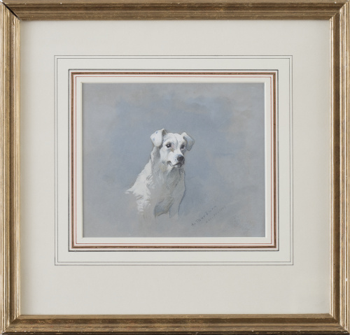 ARCHIBALD THORBURN (1860-1935)Estudio de Terrier