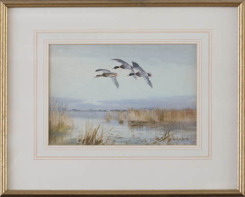 ROLAND GREEN, SIGLO XIX-XXAnade real al vuelo