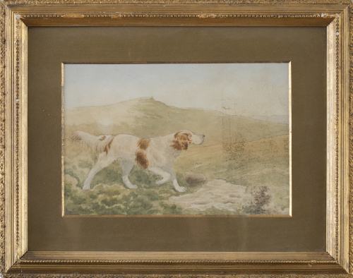 ESCUELA ESPAÑOLA, SIGLO XXPerro señalando presa