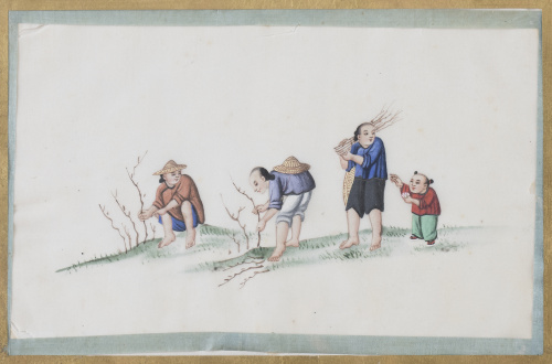 ESCUELA CHINA, SIGLO XIXEscena costumbrista