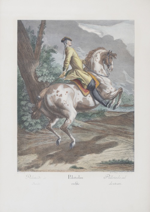 JOHANN ELIAS RIDINGER (1698-1767)"Le Nouveau Menage", "Gr