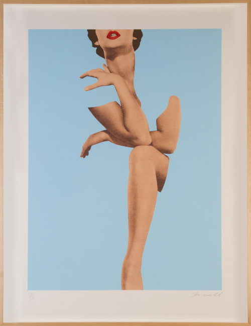 JOE WEBB (Reino Unido, 1976), JOE WEBB (Reino Unido, 1976)