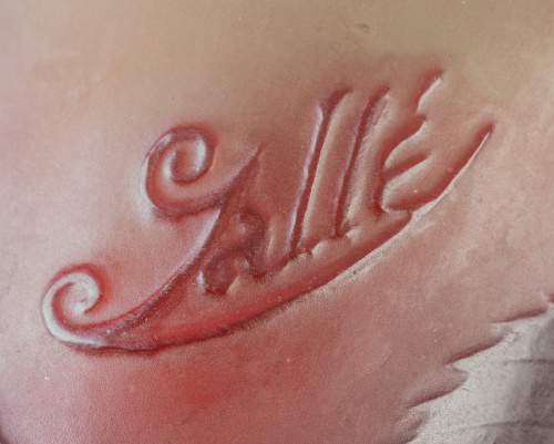 Emile Gallé (Nancy 8 de mayo de 1846 - 23 de septiembre de 