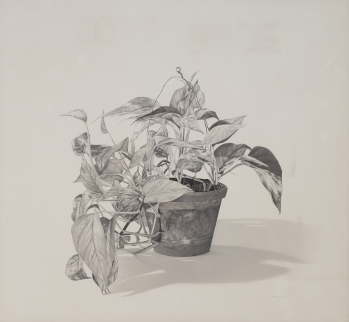 GERARDO PITA (Madrid, 1950), GERARDO PITA (Madrid, 1950)T