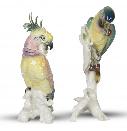 Lote de loro y cacatúa de porcelana esmaltada.Volkstedt-R
