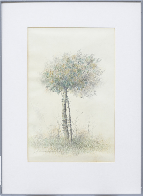 MARCIAL GÓMEZ (Hinojosa del Duque, Córdoba, 1930 - Córdoba,