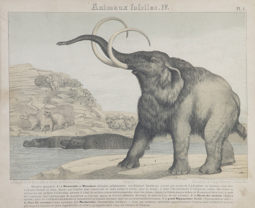 W. NITZSHKE À STTUGART WUTTEMBERG/ KIESSLING & Comp. Editeu