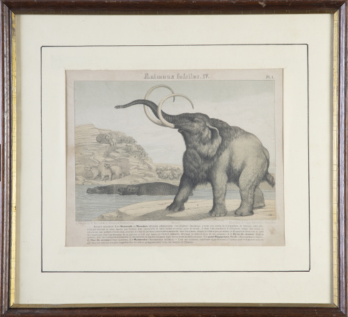 W. NITZSHKE À STTUGART WUTTEMBERG/ KIESSLING & Comp. Editeu