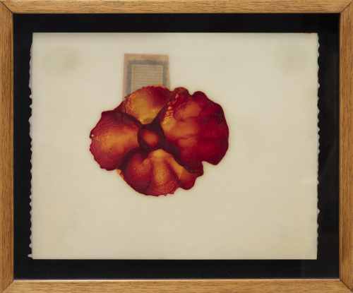 JOSÉ MARÍA SICILIA (Madrid, 1954), JOSÉ MARÍA SICILIA (Madr