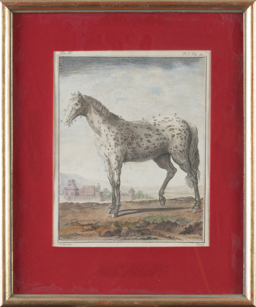 ESCUELA FRANCESA, SIGLO XIXOvejas y caballos