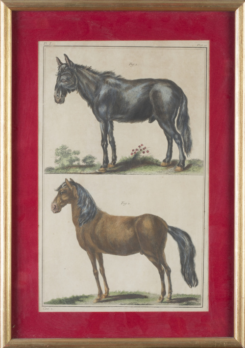 ESCUELA FRANCESA, SIGLO XIXOvejas y caballos