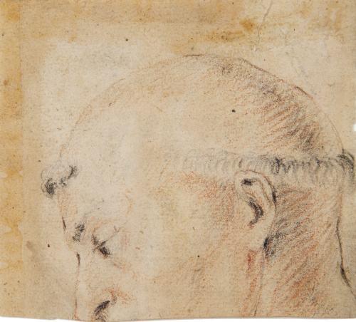 ESCUELA ESPAÑOLA, SIGLO XVIIIEstudio de una cabeza