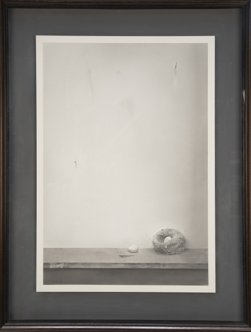 MANUEL HUERTAS TORREJÓN (Guadalupe, Cáceres, 1953)El Nido