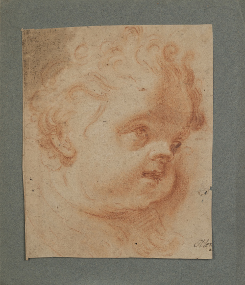 ESCUELA ESPAÑOLA, SIGLO XVIIIEstudio de cabeza de un putti