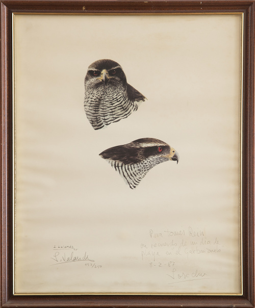 JOSECHU LALANDA, SIGLO XXEstudio de águila