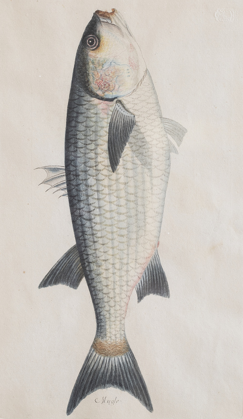 JUAN BAUTISTA BRU DE RAMON (1740-1799) Conjunto de seis p