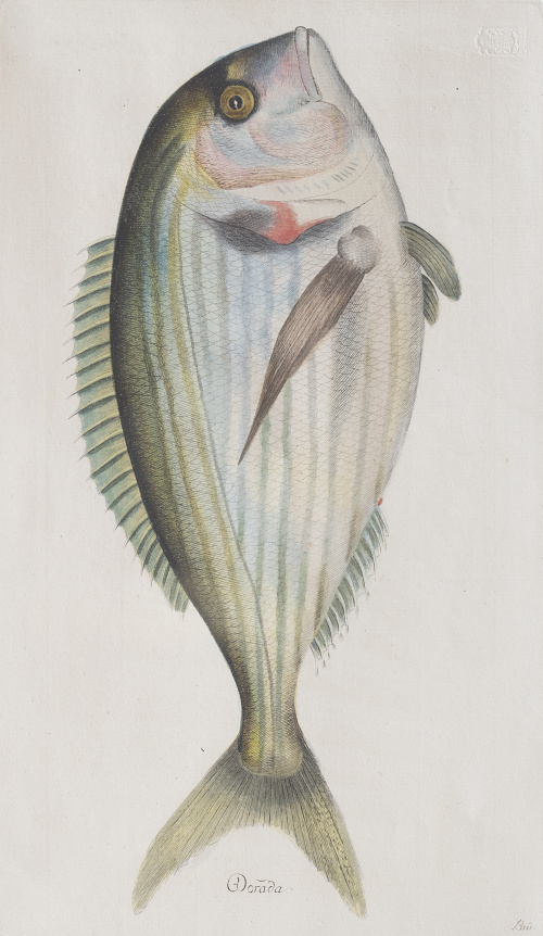 JUAN BAUTISTA BRU DE RAMON (1740-1799) Conjunto de seis p