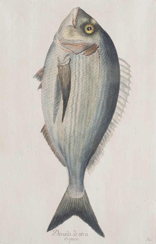 JUAN BAUTISTA BRU DE RAMON (1740-1799) Conjunto de seis p