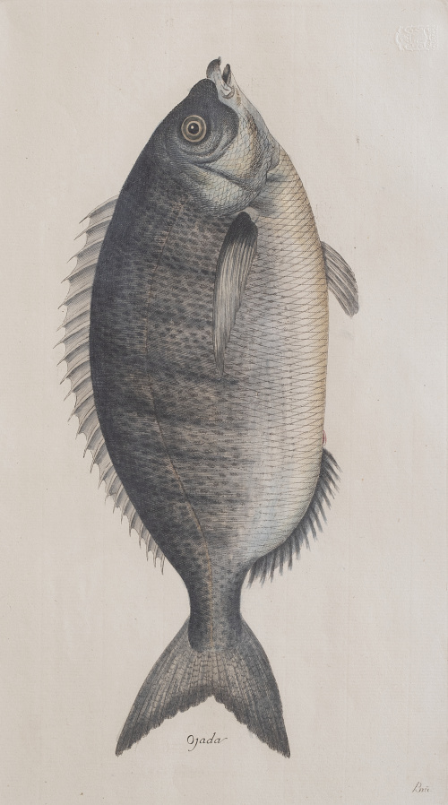 JUAN BAUTISTA BRU DE RAMON (1740-1799) Conjunto de seis p