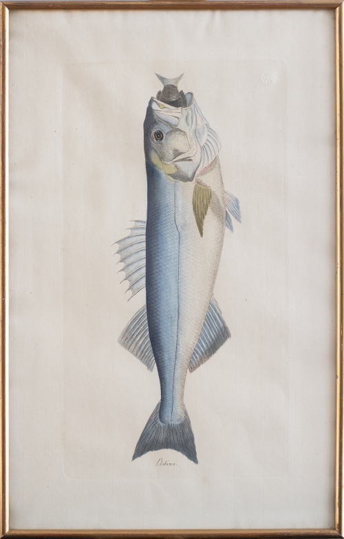 JUAN BAUTISTA BRU DE RAMON (1740-1799) Conjunto de seis p