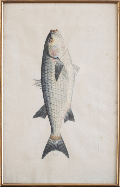 JUAN BAUTISTA BRU DE RAMON (1740-1799) Conjunto de seis p