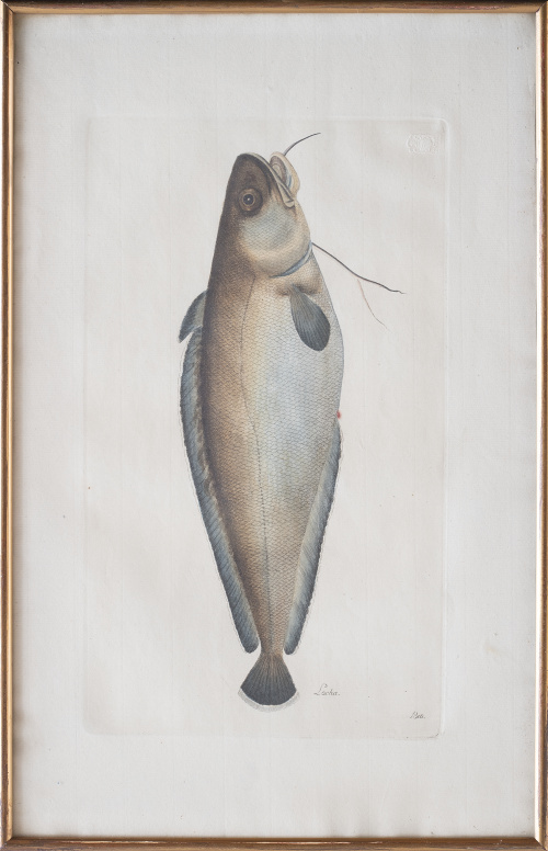 JUAN BAUTISTA BRU DE RAMON (1740-1799) Conjunto de seis p